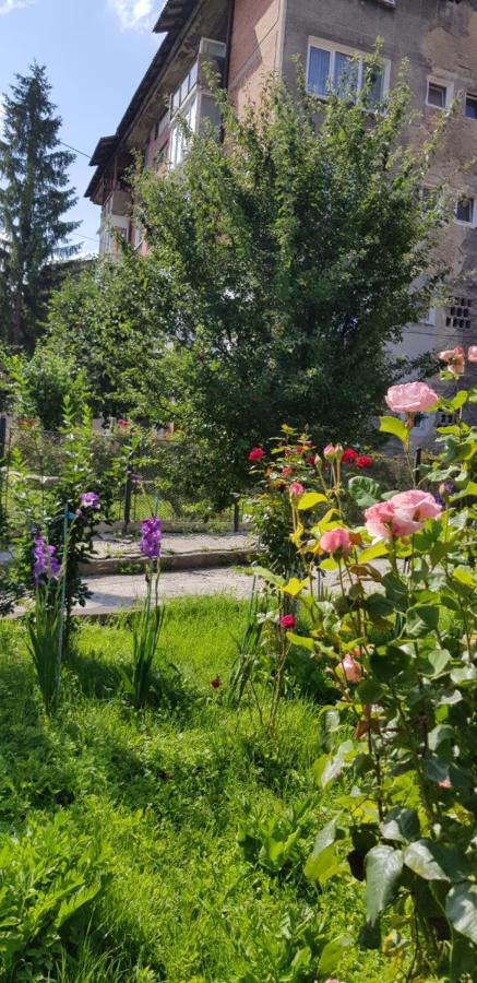 La Mihai Lupeni  Dış mekan fotoğraf